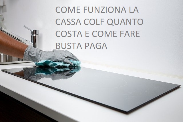 come funziona la cassa colf